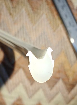Striscia LED 5m Bianco Freddo e Silicone neon  