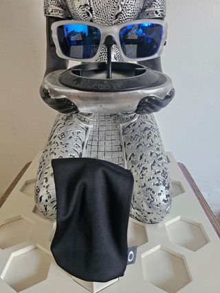 Crankcase Oakley Matte Clear Original.