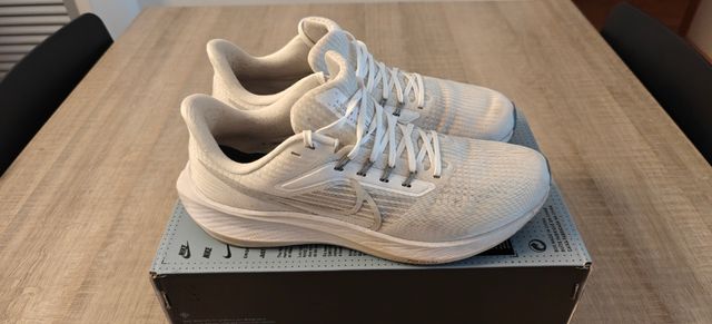 Nike Pegasus 39 Talla 41