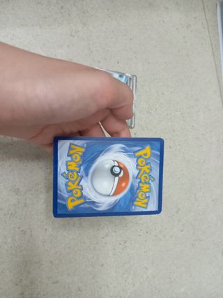 Carte Allenatore Verina & Ricerca Accademica