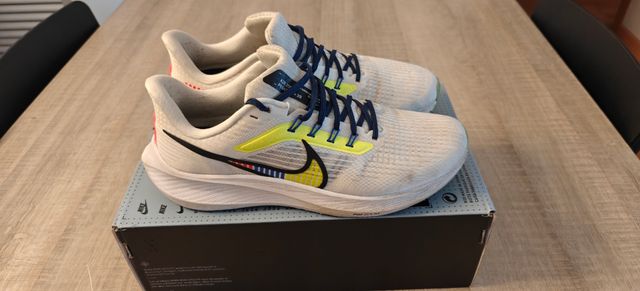 Nike Pegasus 39 talla 41
