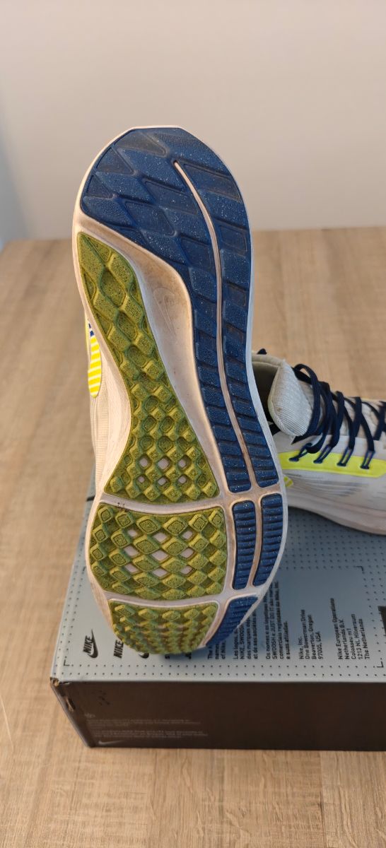 Nike Pegasus 39 talla 41