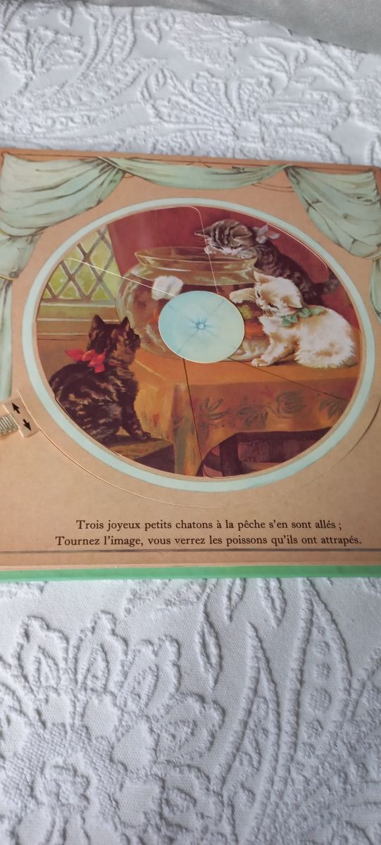 Cuento libro troquelado