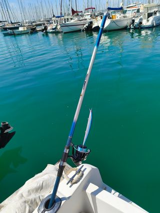 COMBO ROCKFISHING, COMBO SPINNING, CAÑA, CARRETE.