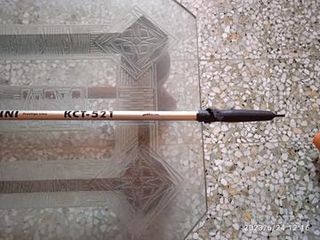 Canna Tubertini  4,20 mt