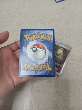 Pruna e Ordini del capo