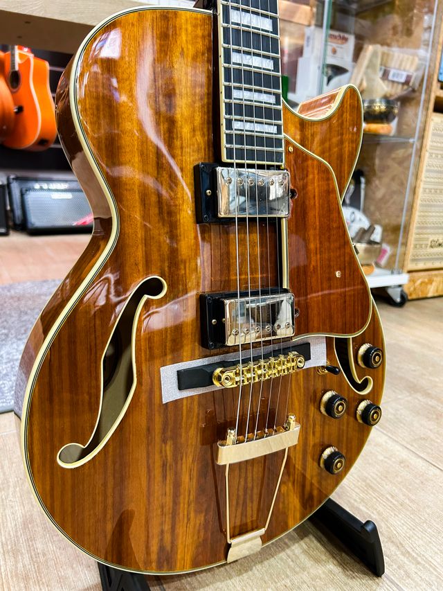  Guitarra eléctrica semi-hollow Ibanez AG95K-NT 