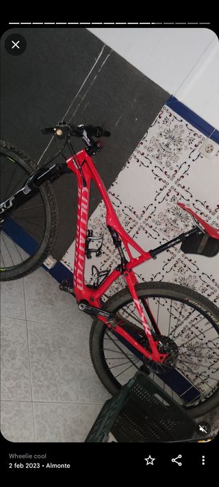 Bicicleta specialized exper carbono
