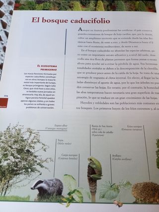 Geografía Universal Salvat