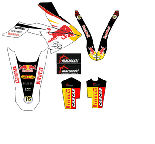 ADHESIVOS QUAD SUZUKI LTR 450