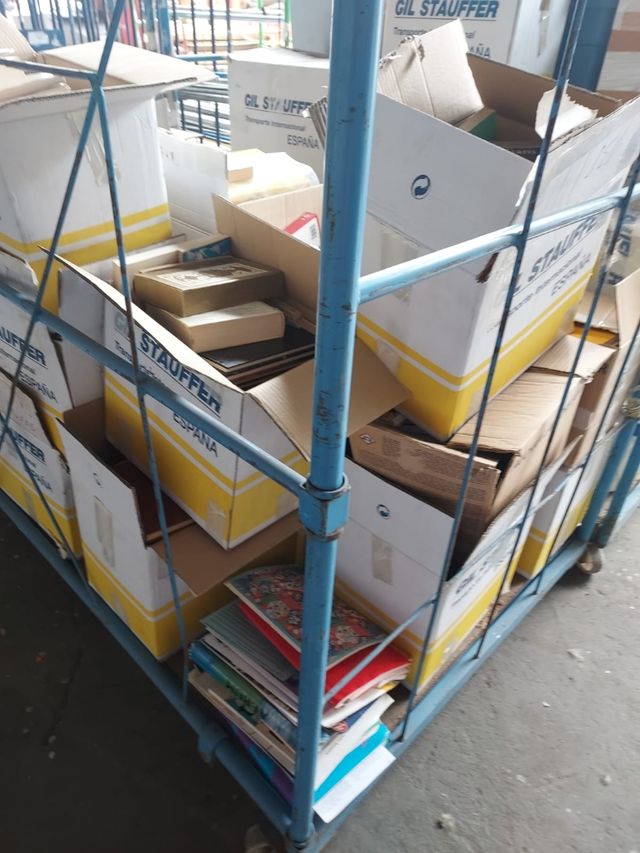 Libros de lectura, comics y enciclopedias.