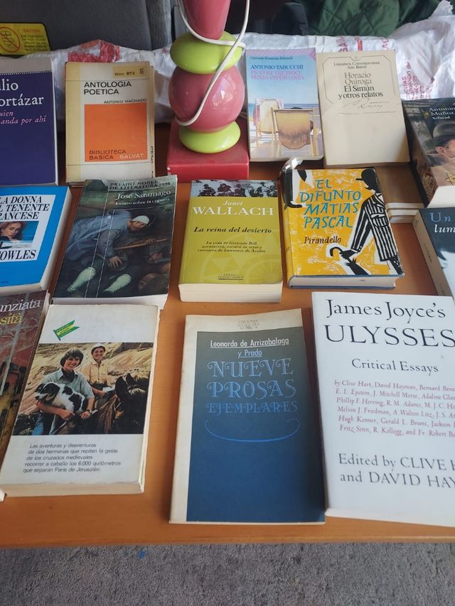 Libros de lectura, comics y enciclopedias.