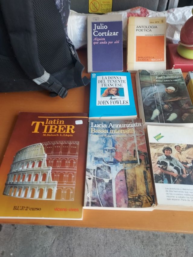 Libros de lectura, comics y enciclopedias.