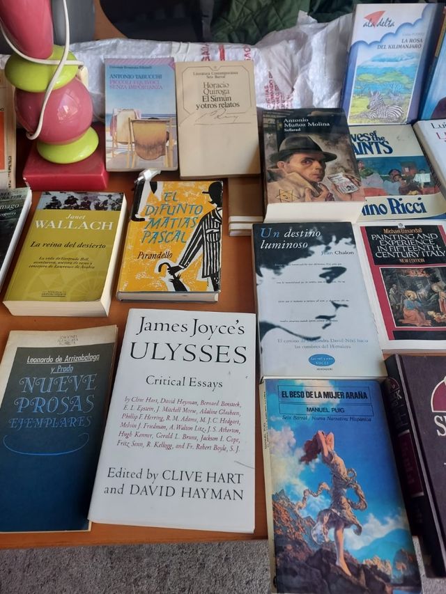 Libros de lectura, comics y enciclopedias.