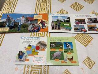 Libro de texto infantil.