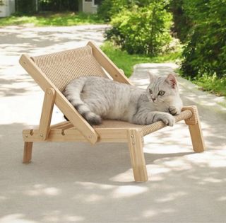 Nuova Simpatica sdraio anche Tiragraffi nuova