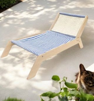 Simpatica sdraio anche Tiragraffi nuova