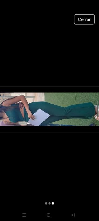 Mono verde botella elegante