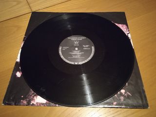 Discazo vinilo Sisters of Mercy - Vision Thing