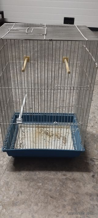 Jaula pájaros periquitos azul-blanca
