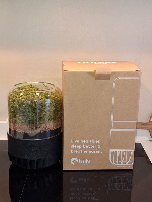 Purificatore Aria BRIIV 
