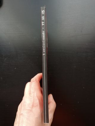 R-EVOLUCIONANDO: Feminismos en el 15-M