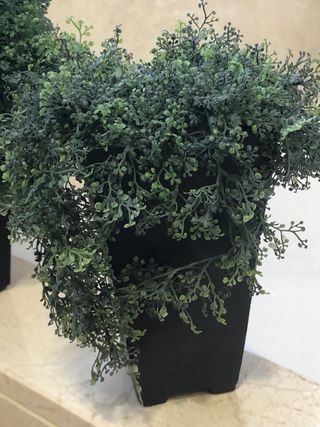 2 Plantas Artificiales - Decoración hogar