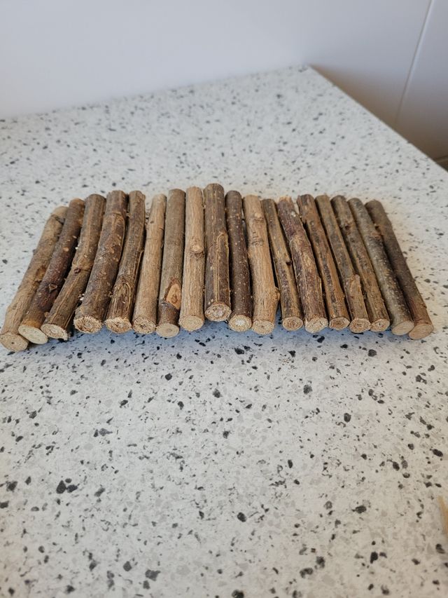 Puente Trixie para roedores