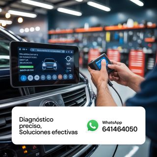 Diagnóstico para coches : Borrado fallos  itv ect