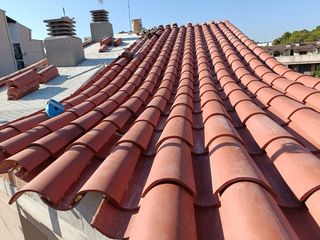 se ofrese paleta para cualquir reforma