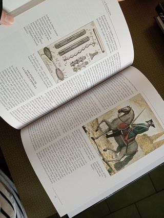 España de la Ilustración. Borbones y el s. XVIII