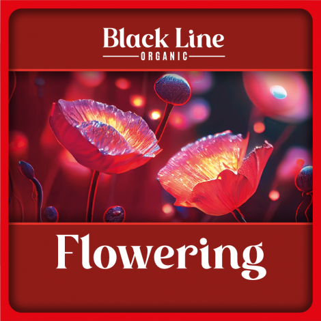 FERTILIZANTE FLORACION AGROBETA ORGANICO 5 LITROS