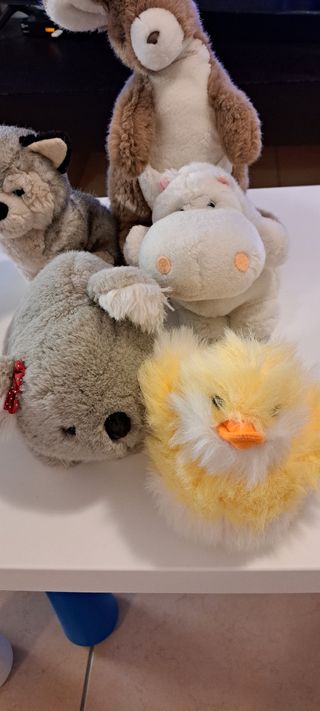 5 Peluche Animali teneri
