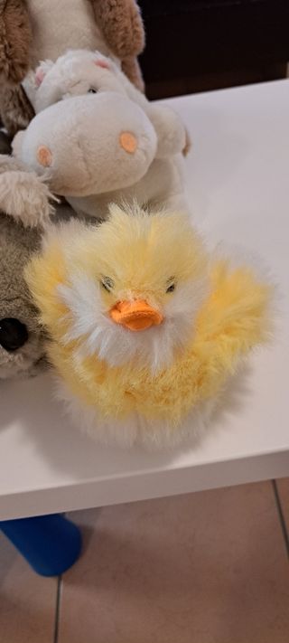5 Peluche Animali teneri