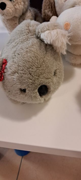 5 Peluche Animali teneri