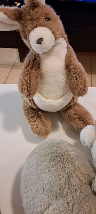 5 Peluche Animali teneri