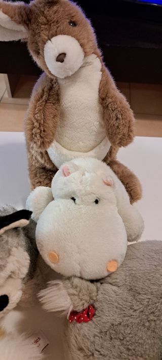 5 Peluche Animali teneri