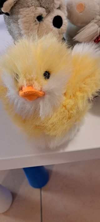 5 Peluche Animali teneri