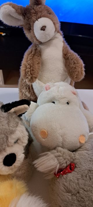 5 Peluche Animali teneri