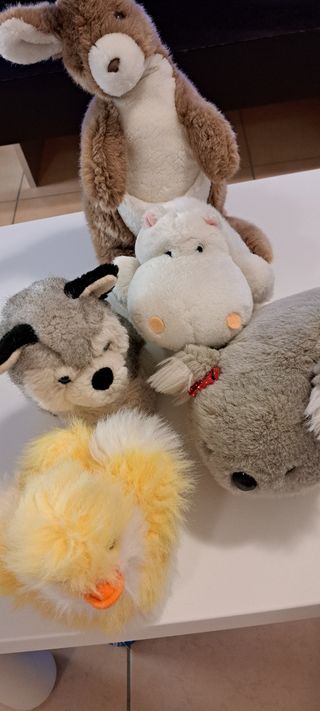 5 Peluche Animali teneri