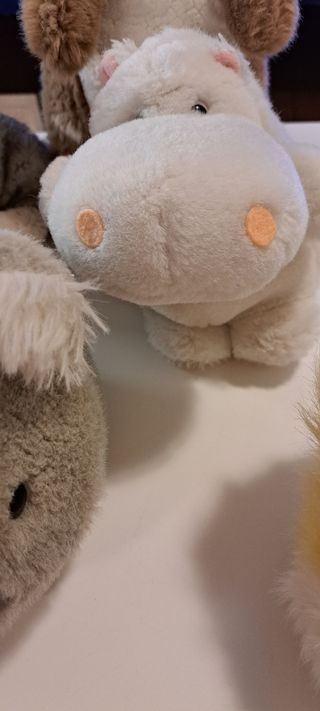 5 Peluche Animali teneri