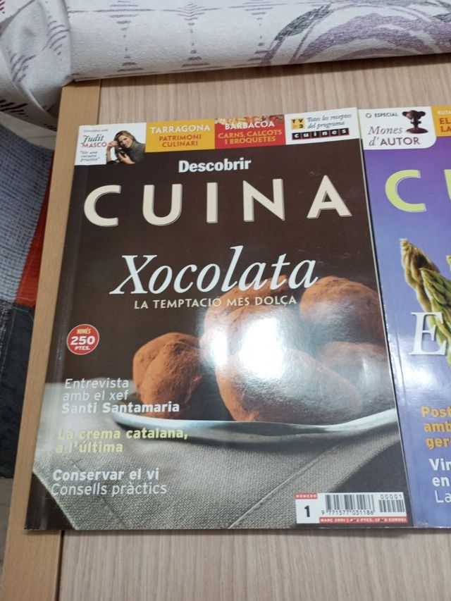 Descubrir cuina xocolata,esparrecs,bo i rapid..etc