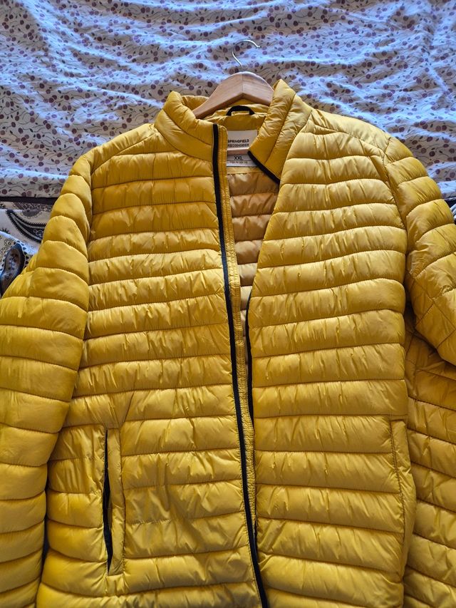 Chaquetón Springfield amarillo XXL