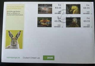 Sellos Irlanda - Animales marinos