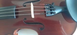 Violín 1/2
