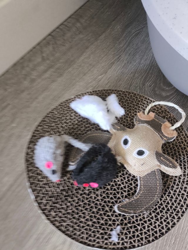 Kit aseo gato: arenero + juguetes