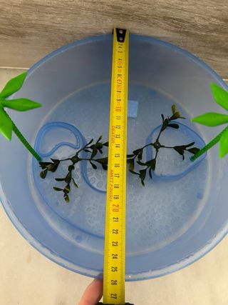 Acuario Tortuga y comida entera.