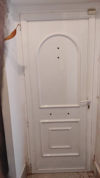 Puerta exterior blanca - Metálica