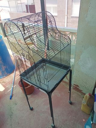 Jaulas para pájaros, todas por 100€