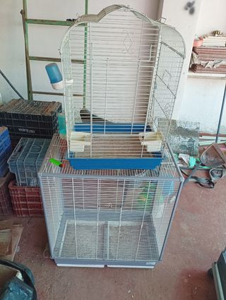 Jaulas para pájaros, todas por 100€